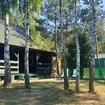 Nad Jeziorem, Las, Do 10 Osób Jezioro Wilczyńskie Budzisławskie - Letniskowy Osobno Ogrodzony, Ogrzewany Mile Widziane Pieski, Zwierzeta- Wielkopolska, 62-550 Zygmuntowo Gm Wilczyn * Zygmuntowo (Konin)