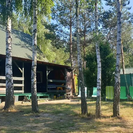 Nad Jeziorem, Las, Do 10 Osob Jezioro Wilczynskie Budzislawskie - Letniskowy Osobno Ogrodzony, Ogrzewany Mile Widziane Pieski, Zwierzeta- Wielkopolska, 62-550 Zygmuntowo Gm Wilczyn * Zygmuntowo (Konin)