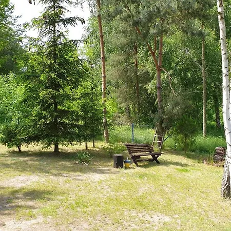 Nad Jeziorem, Las, Do 10 Osob Jezioro Wilczynskie Budzislawskie - Letniskowy Osobno Ogrodzony, Ogrzewany Mile Widziane Pieski, Zwierzeta- Wielkopolska, 62-550 Zygmuntowo Gm Wilczyn *