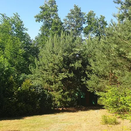 Nad Jeziorem: Lakeside For Groups Holiday home Zygmuntowo (Konin)