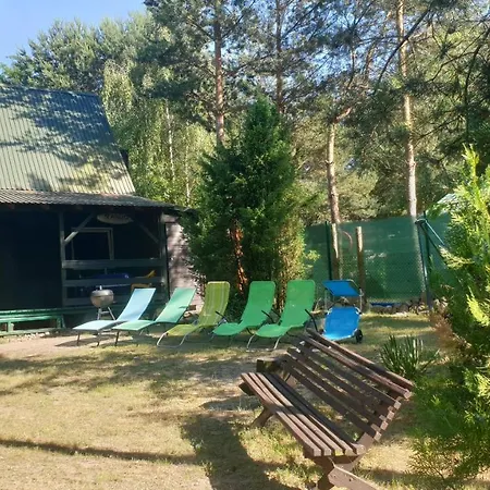 度假居 Nad Jeziorem, Las, Do 10 Osob Jezioro Wilczynskie Budzislawskie - Letniskowy Osobno Ogrodzony, Ogrzewany Mile Widziane Pieski, Zwierzeta- Wielkopolska, 62-550 Zygmuntowo Gm Wilczyn Zygmuntowo (Konin)