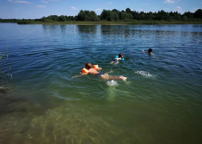 Nad Jeziorem, Las, Do 10 Osob Jezioro Wilczynskie Budzislawskie - Letniskowy Osobno Ogrodzony, Ogrzewany Mile Widziane Pieski, Zwierzeta- Wielkopolska, 62-550 Zygmuntowo Gm Wilczyn Tatil Evi