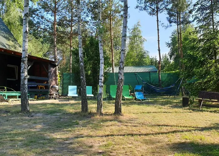 Nad Jeziorem, Las, Do 10 Osob Jezioro Wilczynskie Budzislawskie - Letniskowy Osobno Ogrodzony, Ogrzewany Mile Widziane Pieski, Zwierzeta- Wielkopolska, 62-550 Zygmuntowo Gm Wilczyn Tatil Evi *