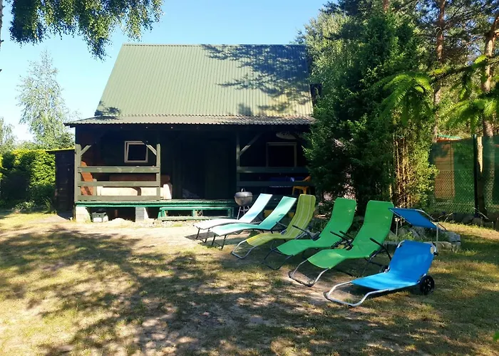 Nad Jeziorem, Las, Do 10 Osob Jezioro Wilczynskie Budzislawskie - Letniskowy Osobno Ogrodzony, Ogrzewany Mile Widziane Pieski, Zwierzeta- Wielkopolska, 62-550 Zygmuntowo Gm Wilczyn Zygmuntowo (Konin)