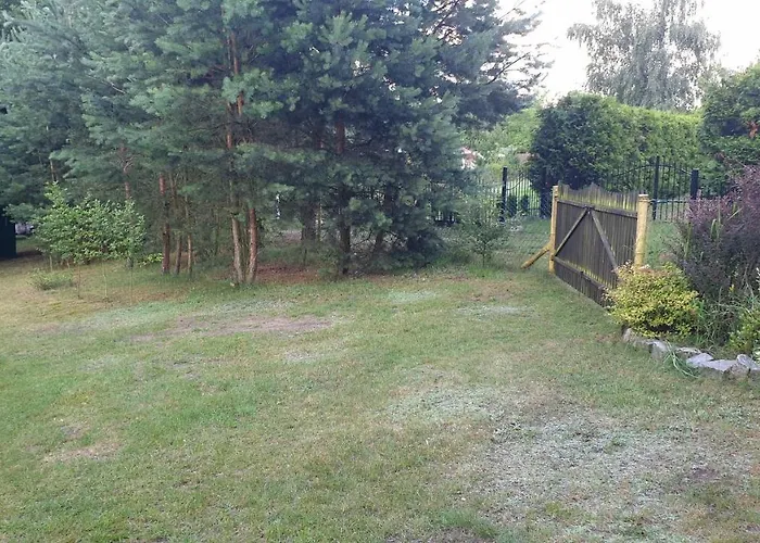 Nad Jeziorem, Las, Do 10 Osob Jezioro Wilczynskie Budzislawskie - Letniskowy Osobno Ogrodzony, Ogrzewany Mile Widziane Pieski, Zwierzeta- Wielkopolska, 62-550 Zygmuntowo Gm Wilczyn *