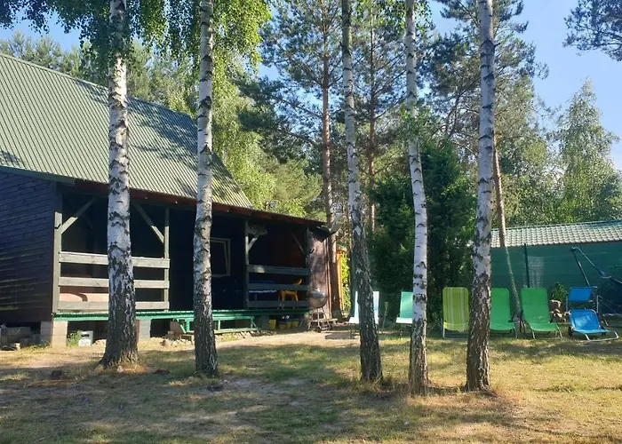 Nad Jeziorem, Las, Do 10 Osob Jezioro Wilczynskie Budzislawskie - Letniskowy Osobno Ogrodzony, Ogrzewany Mile Widziane Pieski, Zwierzeta- Wielkopolska, 62-550 Zygmuntowo Gm Wilczyn * Zygmuntowo (Konin)