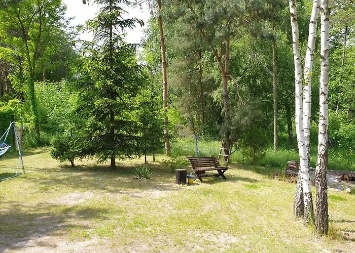 Nad Jeziorem, Las, Do 10 Osob Jezioro Wilczynskie Budzislawskie - Letniskowy Osobno Ogrodzony, Ogrzewany Mile Widziane Pieski, Zwierzeta- Wielkopolska, 62-550 Zygmuntowo Gm Wilczyn *