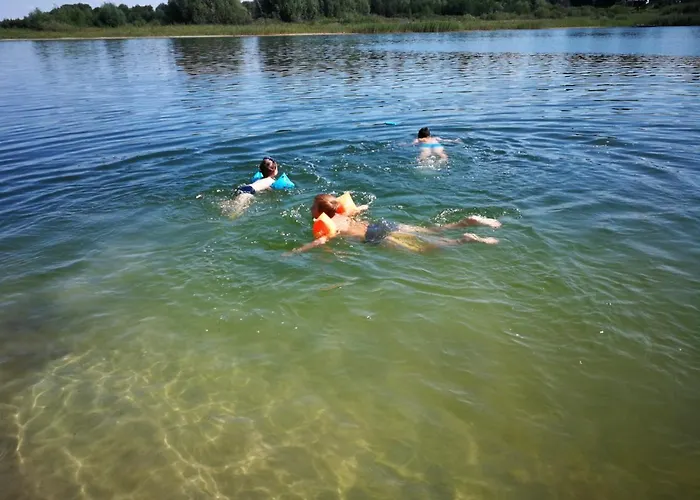 Nad Jeziorem, Las, Do 10 Osob Jezioro Wilczynskie Budzislawskie - Letniskowy Osobno Ogrodzony, Ogrzewany Mile Widziane Pieski, Zwierzeta- Wielkopolska, 62-550 Zygmuntowo Gm Wilczyn Zygmuntowo (Konin)