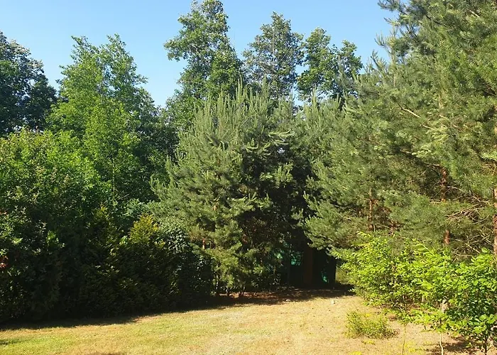 Nad Jeziorem, Las, Do 10 Osob Jezioro Wilczynskie Budzislawskie - Letniskowy Osobno Ogrodzony, Ogrzewany Mile Widziane Pieski, Zwierzeta- Wielkopolska, 62-550 Zygmuntowo Gm Wilczyn Tatil Evi Zygmuntowo (Konin)