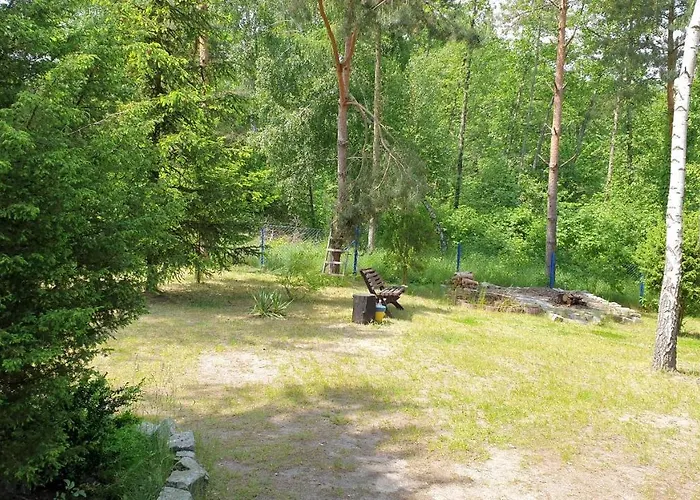 Nad Jeziorem, Las, Do 10 Osob Jezioro Wilczynskie Budzislawskie - Letniskowy Osobno Ogrodzony, Ogrzewany Mile Widziane Pieski, Zwierzeta- Wielkopolska, 62-550 Zygmuntowo Gm Wilczyn Tatil Evi