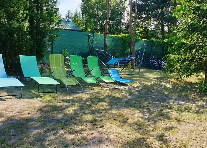 Tatil Evi Nad Jeziorem, Las, Do 10 Osob Jezioro Wilczynskie Budzislawskie - Letniskowy Osobno Ogrodzony, Ogrzewany Mile Widziane Pieski, Zwierzeta- Wielkopolska, 62-550 Zygmuntowo Gm Wilczyn *