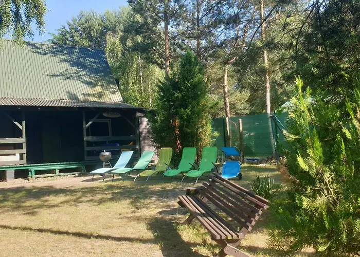 Tatil Evi Nad Jeziorem, Las, Do 10 Osob Jezioro Wilczynskie Budzislawskie - Letniskowy Osobno Ogrodzony, Ogrzewany Mile Widziane Pieski, Zwierzeta- Wielkopolska, 62-550 Zygmuntowo Gm Wilczyn Zygmuntowo (Konin)