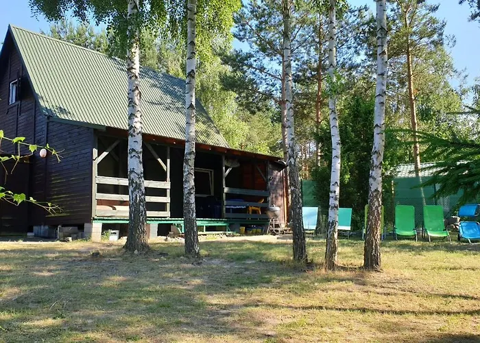 Nad Jeziorem, Las, Do 10 Osob Jezioro Wilczynskie Budzislawskie - Letniskowy Osobno Ogrodzony, Ogrzewany Mile Widziane Pieski, Zwierzeta- Wielkopolska, 62-550 Zygmuntowo Gm Wilczyn Tatil Evi