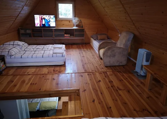 Nad Jeziorem, Las, Do 10 Osob Jezioro Wilczynskie Budzislawskie - Letniskowy Osobno Ogrodzony, Ogrzewany Mile Widziane Pieski, Zwierzeta- Wielkopolska, 62-550 Zygmuntowo Gm Wilczyn Zygmuntowo (Konin)