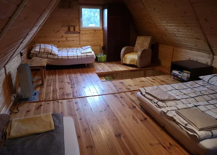 Tatil Evi Nad Jeziorem, Las, Do 10 Osob Jezioro Wilczynskie Budzislawskie - Letniskowy Osobno Ogrodzony, Ogrzewany Mile Widziane Pieski, Zwierzeta- Wielkopolska, 62-550 Zygmuntowo Gm Wilczyn *