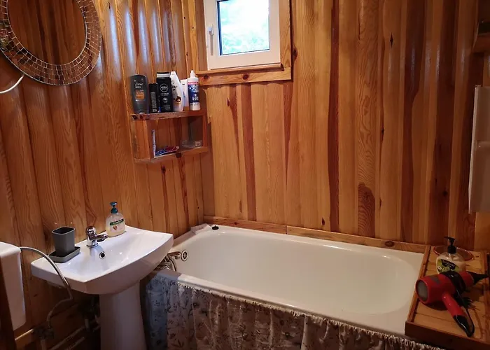 Nad Jeziorem, Las, Do 10 Osob Jezioro Wilczynskie Budzislawskie - Letniskowy Osobno Ogrodzony, Ogrzewany Mile Widziane Pieski, Zwierzeta- Wielkopolska, 62-550 Zygmuntowo Gm Wilczyn * Zygmuntowo (Konin)