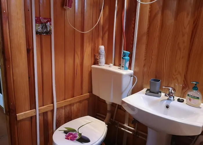 Tatil Evi Nad Jeziorem, Las, Do 10 Osob Jezioro Wilczynskie Budzislawskie - Letniskowy Osobno Ogrodzony, Ogrzewany Mile Widziane Pieski, Zwierzeta- Wielkopolska, 62-550 Zygmuntowo Gm Wilczyn Zygmuntowo (Konin)